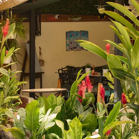 Laura\'s House B&B