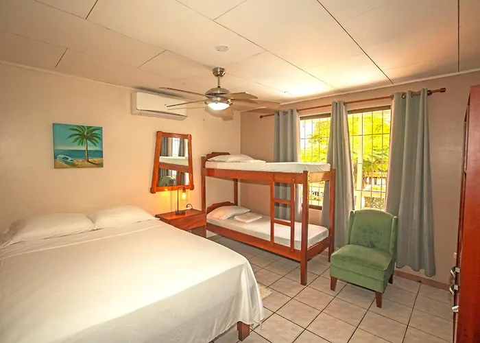Laura's House 4* Coco